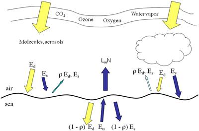 Simulating PACE Global Ocean Radiances